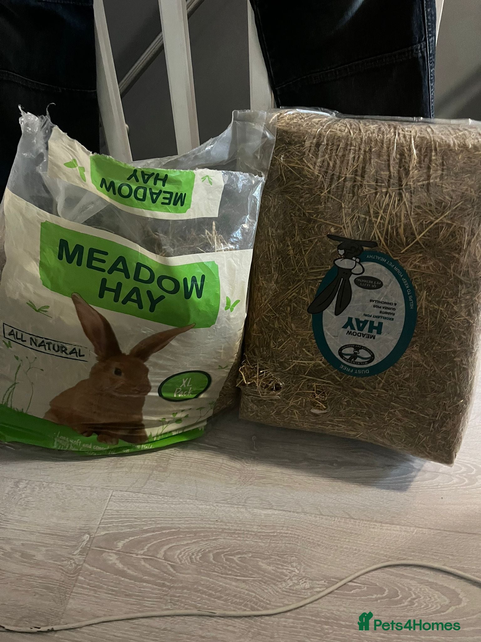 Guinea Pig rodents for sale: Male Guine Pig 10 months old with accessories - Advert 7