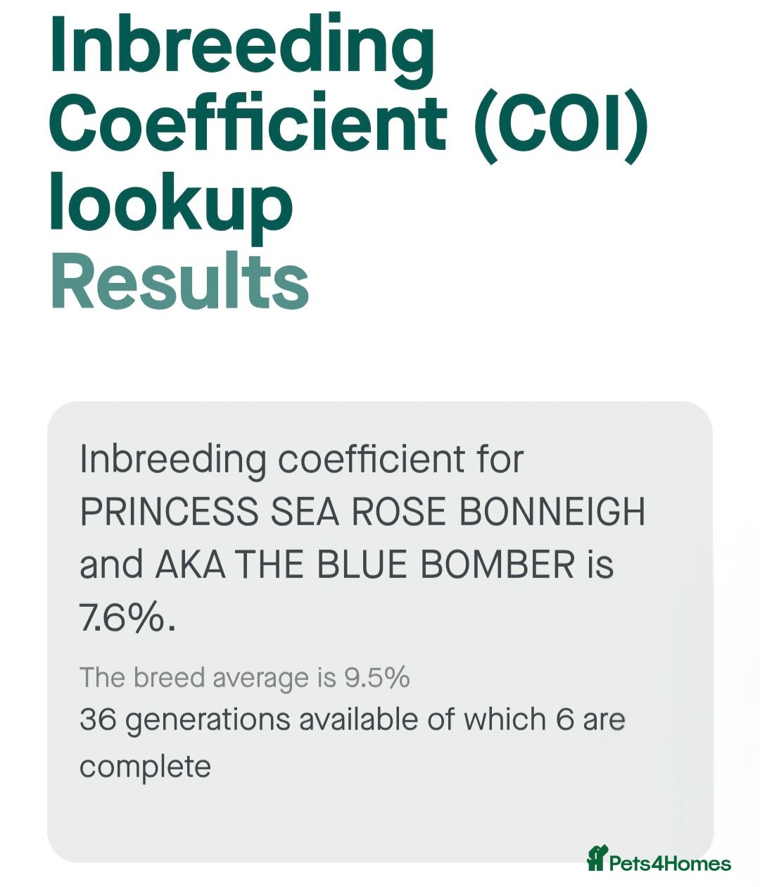 Staffordshire Bull Terrier dogs for sale: Exceptional Staffy Bull Terriers– Valglo Bloodline - Advert 26