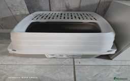 Ragdoll cats for sale: Ragdoll - Image 3