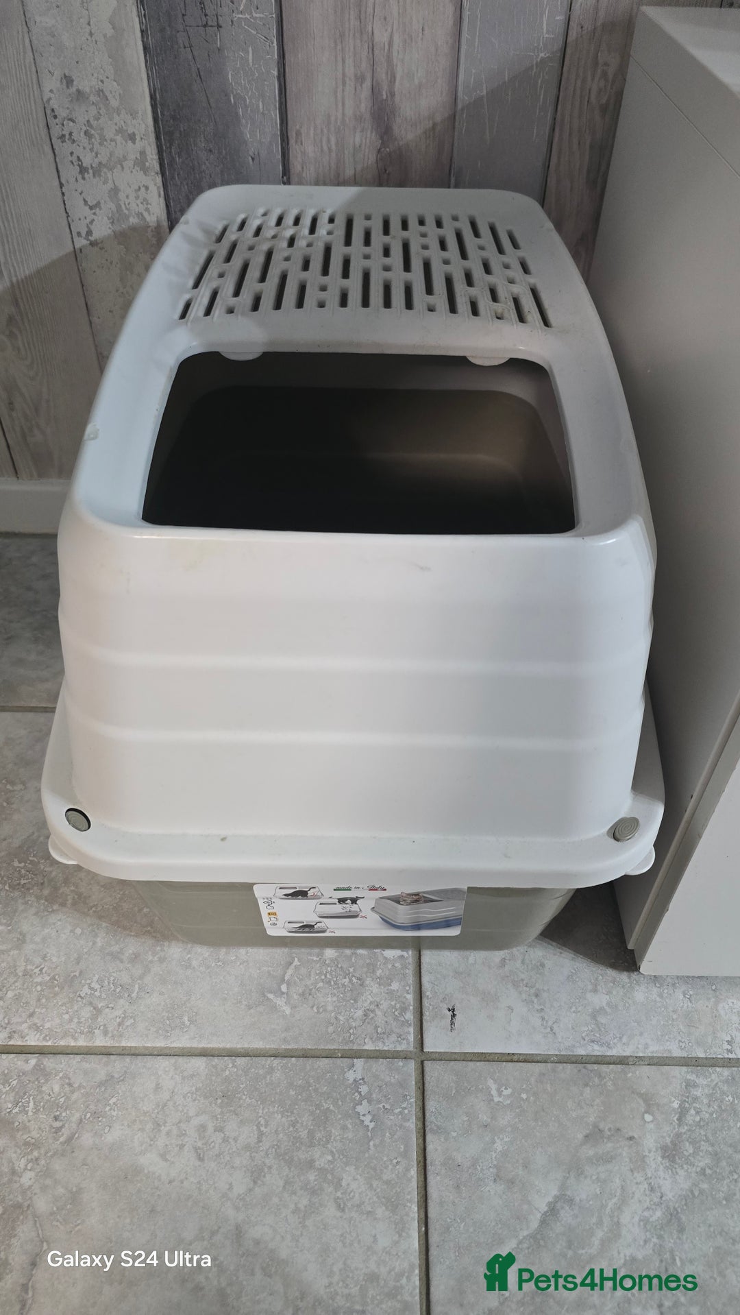 Ragdoll cats for sale: Ragdoll - Image 3