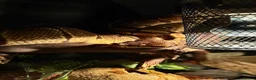 Python Snake reptiles for sale: Effy The Royal Python in Tiverton - Advert 3
