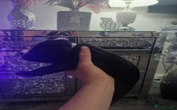 Staffordshire Bull Terrier dogs for sale: Staffordshire bull terriers puppy's  - Advert 5