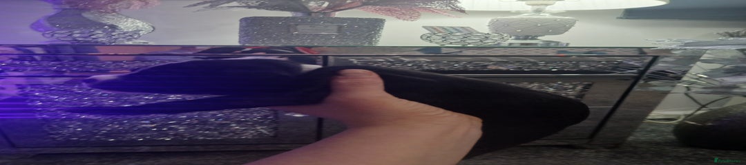 Staffordshire Bull Terrier Puppy 2