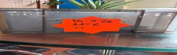 Leopard Gecko reptiles for sale: Baby leopard geckos - Advert 12