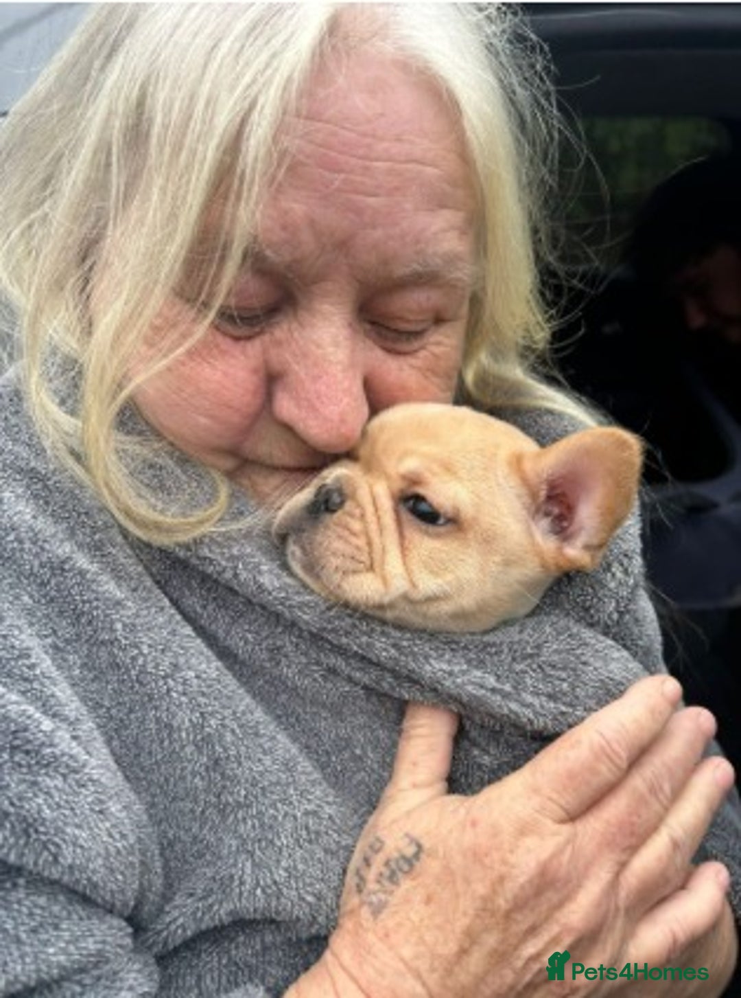 French Bulldog dogs for sale: Stunning French Bulldog Puppies for Sale  - Advert 10