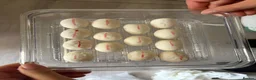 Python Snake reptiles for sale: Baby Green Tree Pythons (Aru x Manokwari)  in South Ockendon - Advert 4