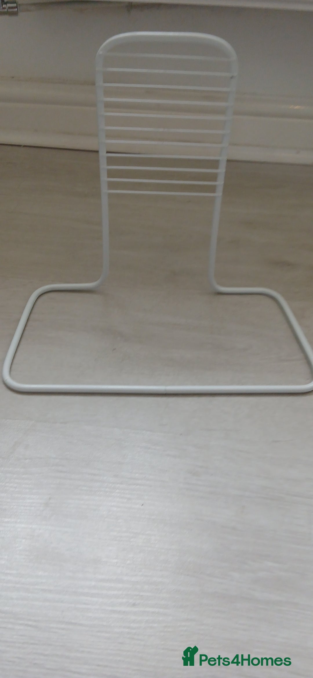 Rat rodents for sale: 🐀 Two pet rats and cage (with setup) 🐀  - Image 7