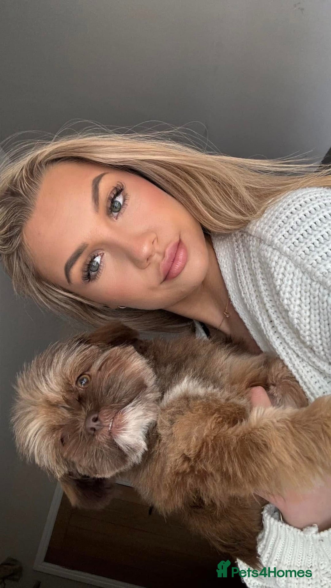 Mixed Breed dogs for sale: Gentle, Child-Friendly Dog Seeking a Loving Home - Advert 9