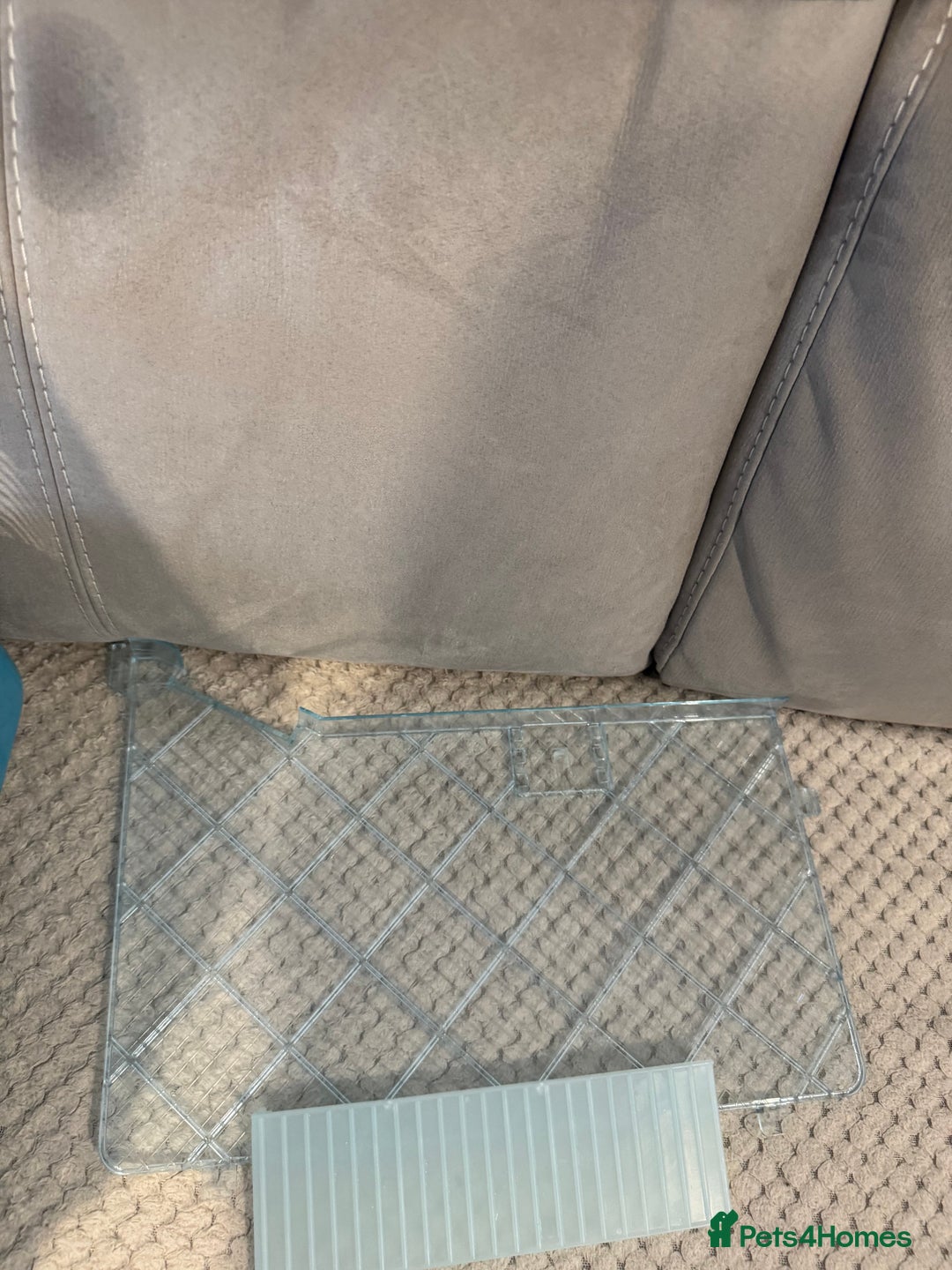 Hamster rodents for sale: Hamster cage set up with everything u need - Image 5