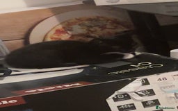 Domestic Shorthair cats for sale: Super affectionate male and female siblings  - Image 7