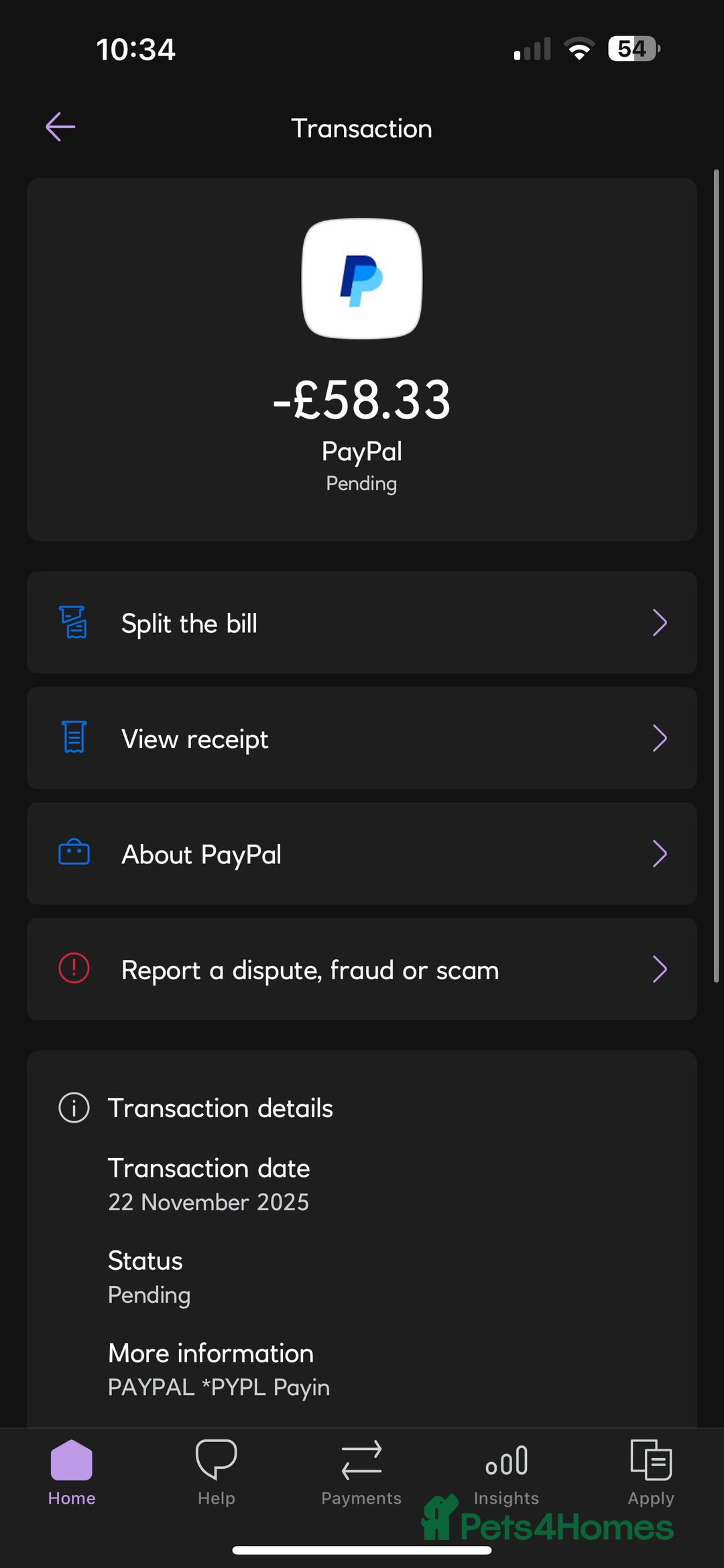 Ragdoll cats for sale: Beautiful Ragdoll female  - Advert 9