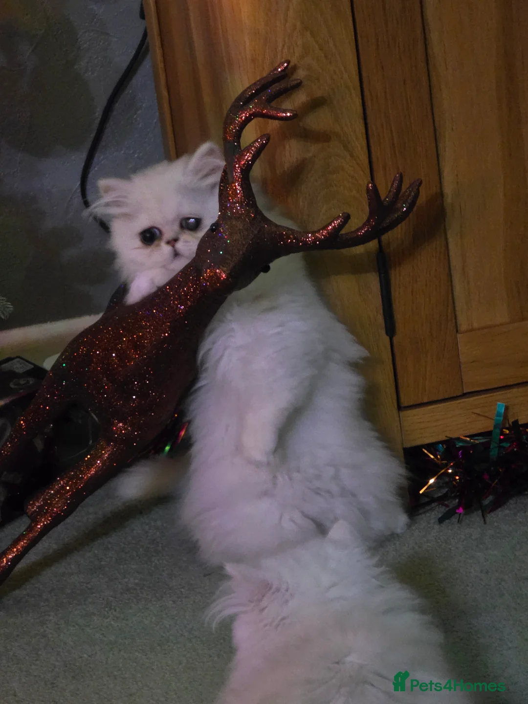 Gallery Image {{count}}