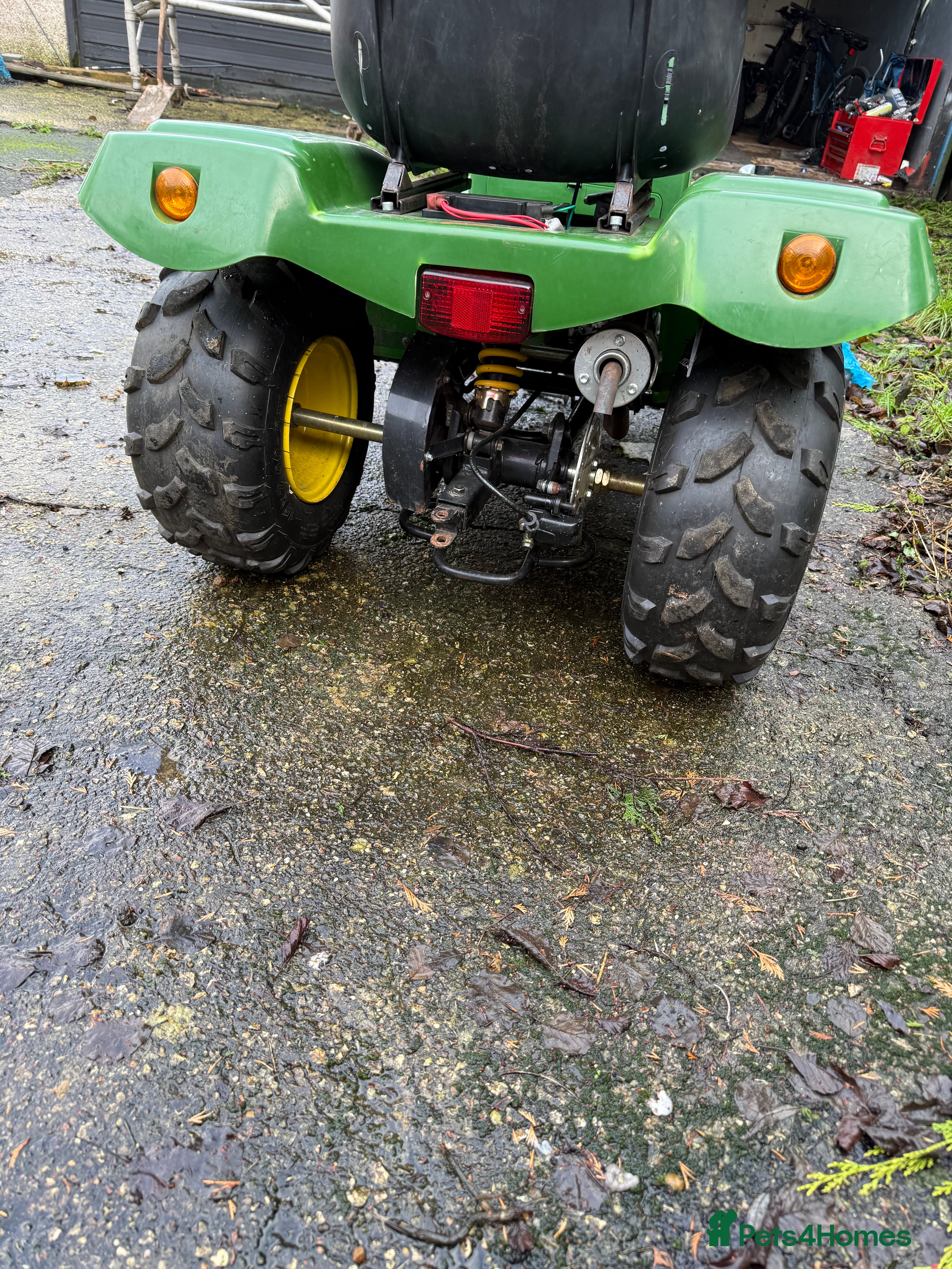 Mixed Breed birds Tractor for sale, - Advert 9