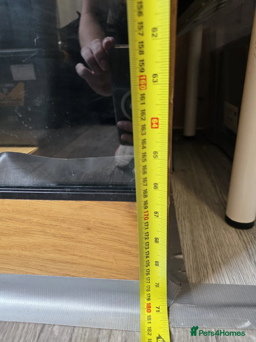 Chameleon reptiles for sale: Xl arboreal wooden vivarium   in Matlock - Advert 2
