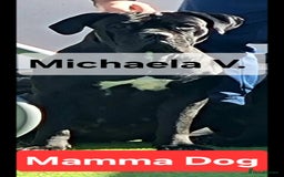 Cane Corso dogs for sale: Champion-Bloodline Cane Corso Puppies  - Image 20