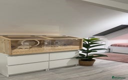 Hamster rodents for sale: Enclosure for sale  - Advert 1