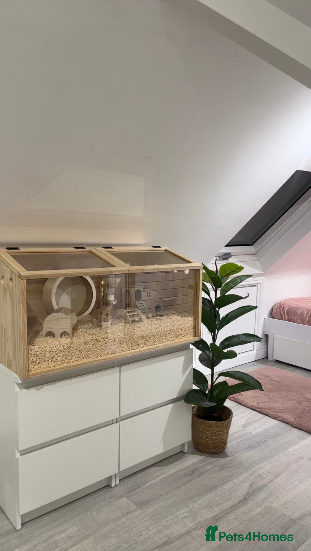 Hamster rodents for sale: Enclosure for sale  - Advert 1