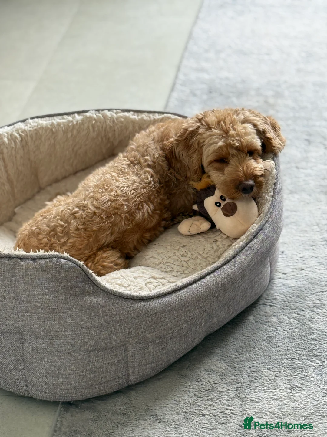 Gallery Image {{count}}