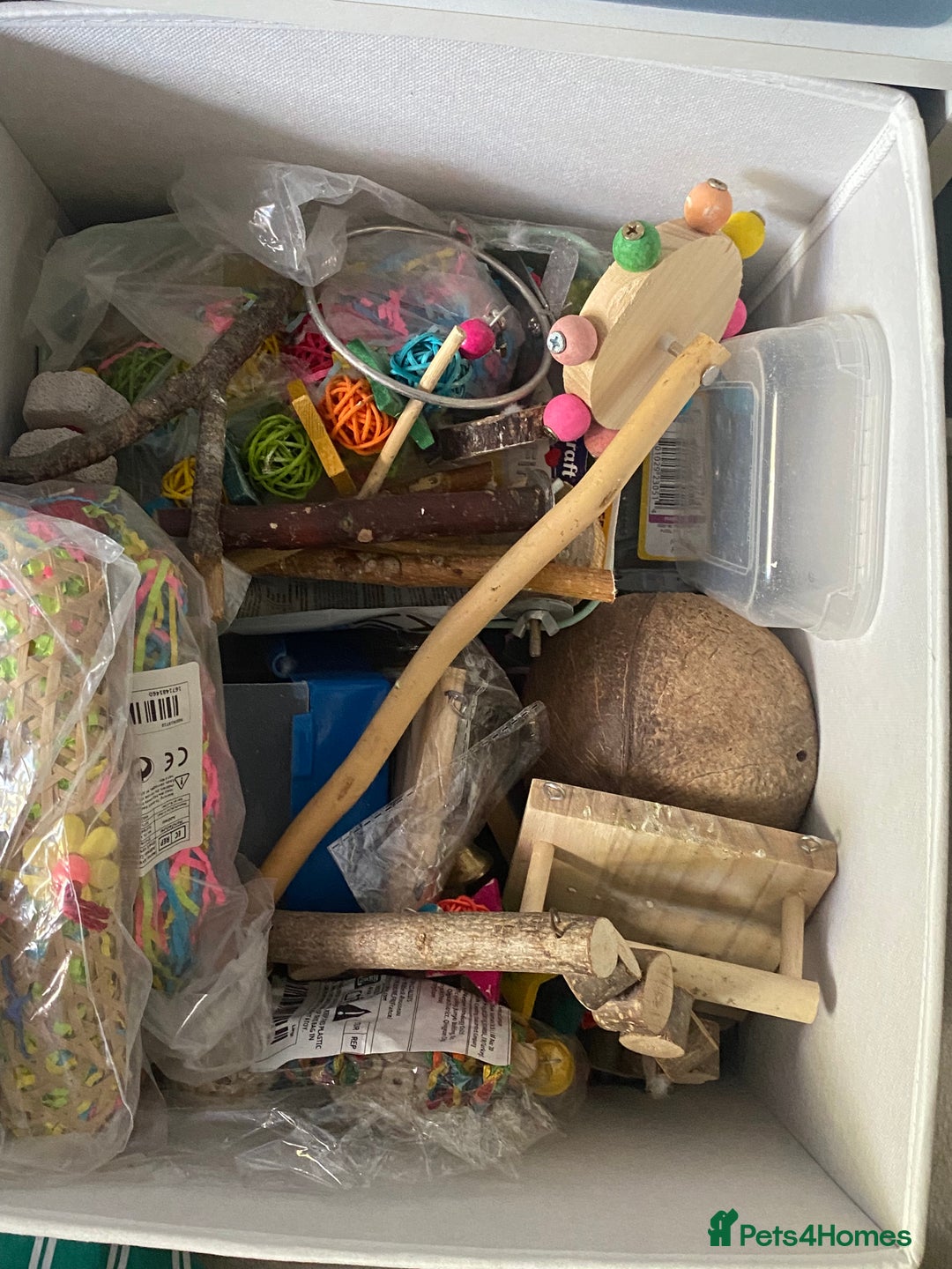 Budgerigars birds for sale: 2 budgies with cage and toys - Image 8