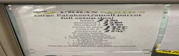 Parakeets birds for sale: Hand Reared Parrots/parakeets At Urban Exotics  - Advert 8