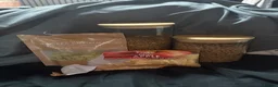 Hamster rodents for sale: Hamster male 9 weeks old  - Advert 4