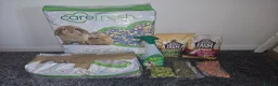 Gerbil rodents for sale: 2 female gerbils and cage in Spennymoor - Advert 12