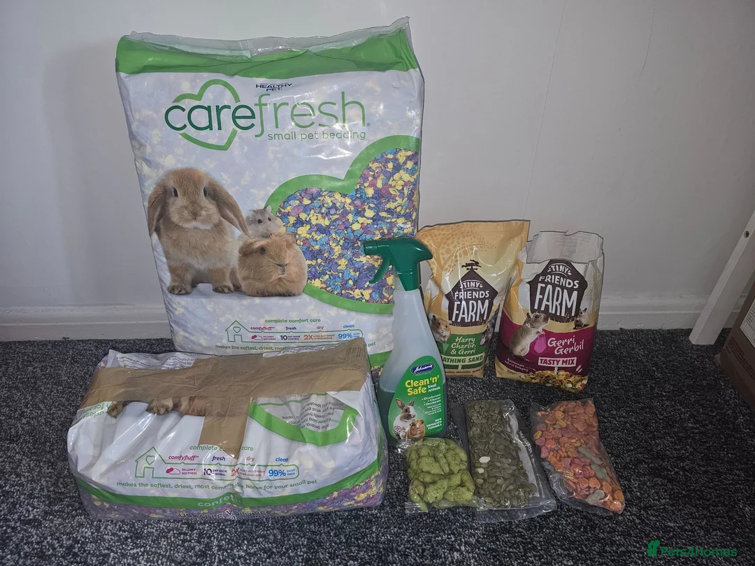 Gerbil rodents for sale: 2 female gerbils and cage in Spennymoor - Advert 12