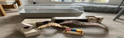 Hamster rodents for sale: Cage for hamster with accessories and bedding  - Advert 2