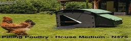 Chickens poultry for sale: Pilling Poultry Medium Chicken House - Advert 1