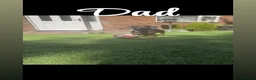 Dachshund dogs for sale: Pure breed dachshund  - Advert 6