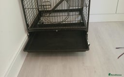 Rat rodents for sale: 🐀 Two pet rats and cage (with setup) 🐀  - Image 3