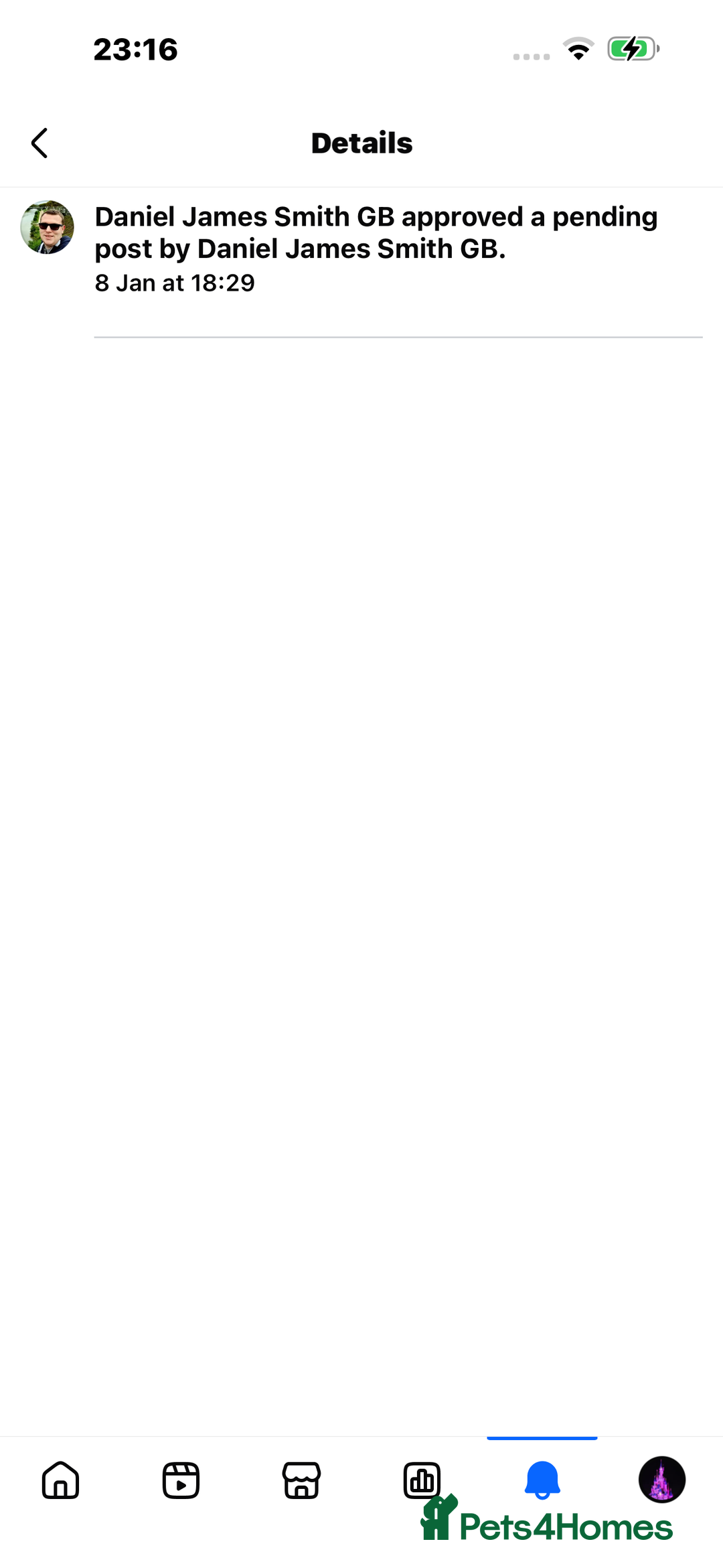 Shar Pei dogs for sale: Shar Pei Puppies For Sale - Advert 2