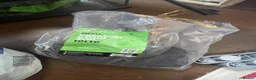 Frog reptiles for sale: 3 White’s Tree Frogs, 2 Vivs, Loads of Equipment🐸 - Advert 13