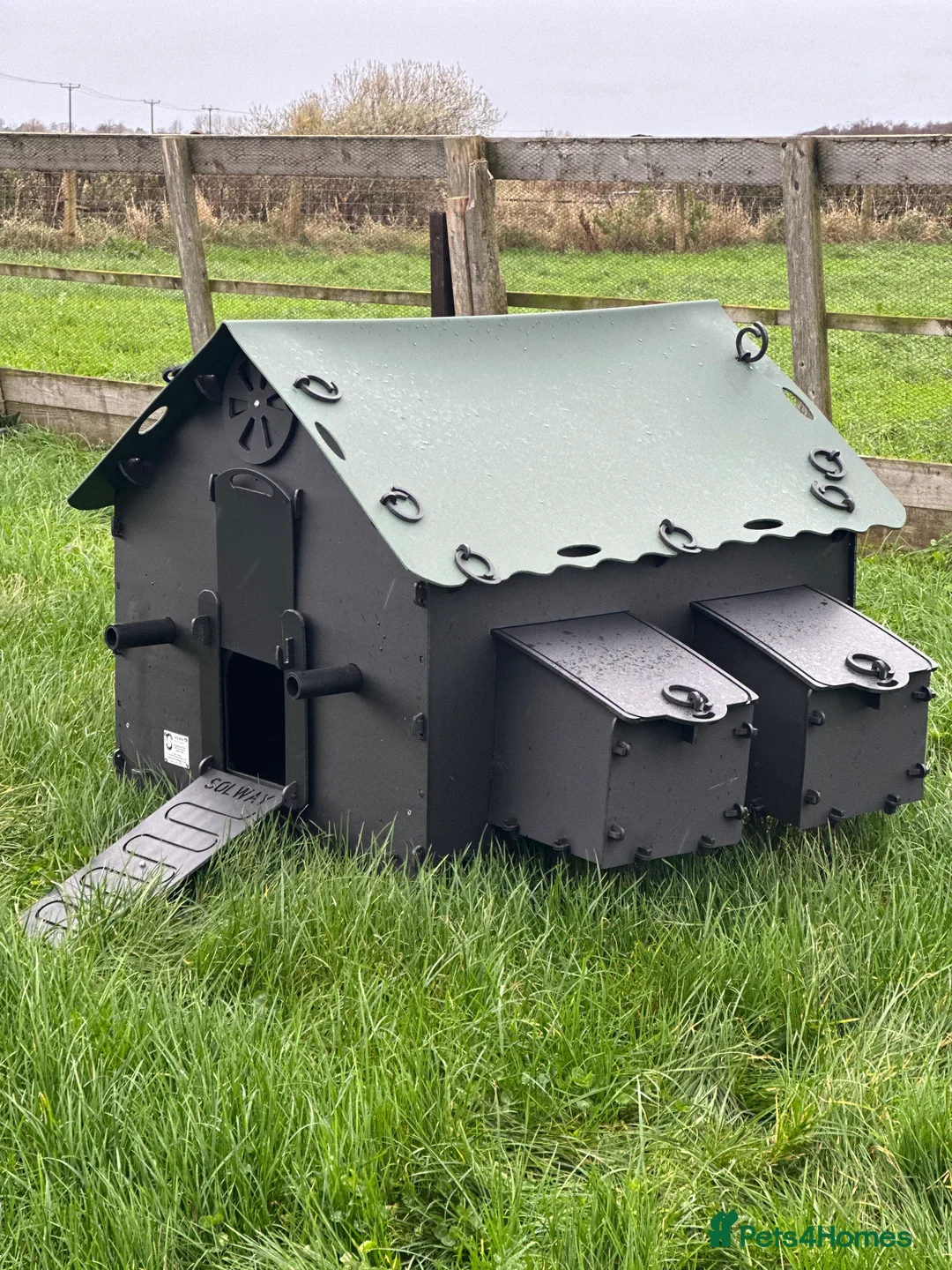 Mixed Breed poultry for sale: Smart Hen House - Recycled - 10/12 Hens - Advert 8