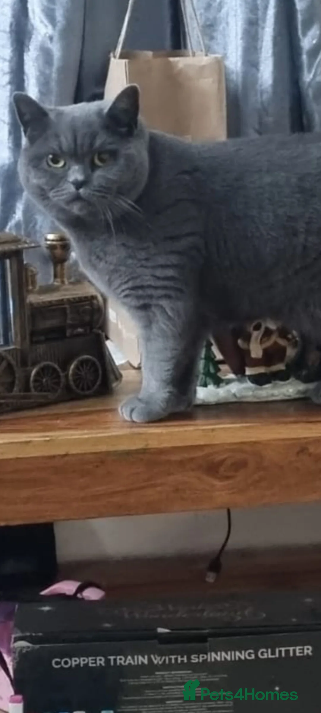 Gallery Image {{count}}