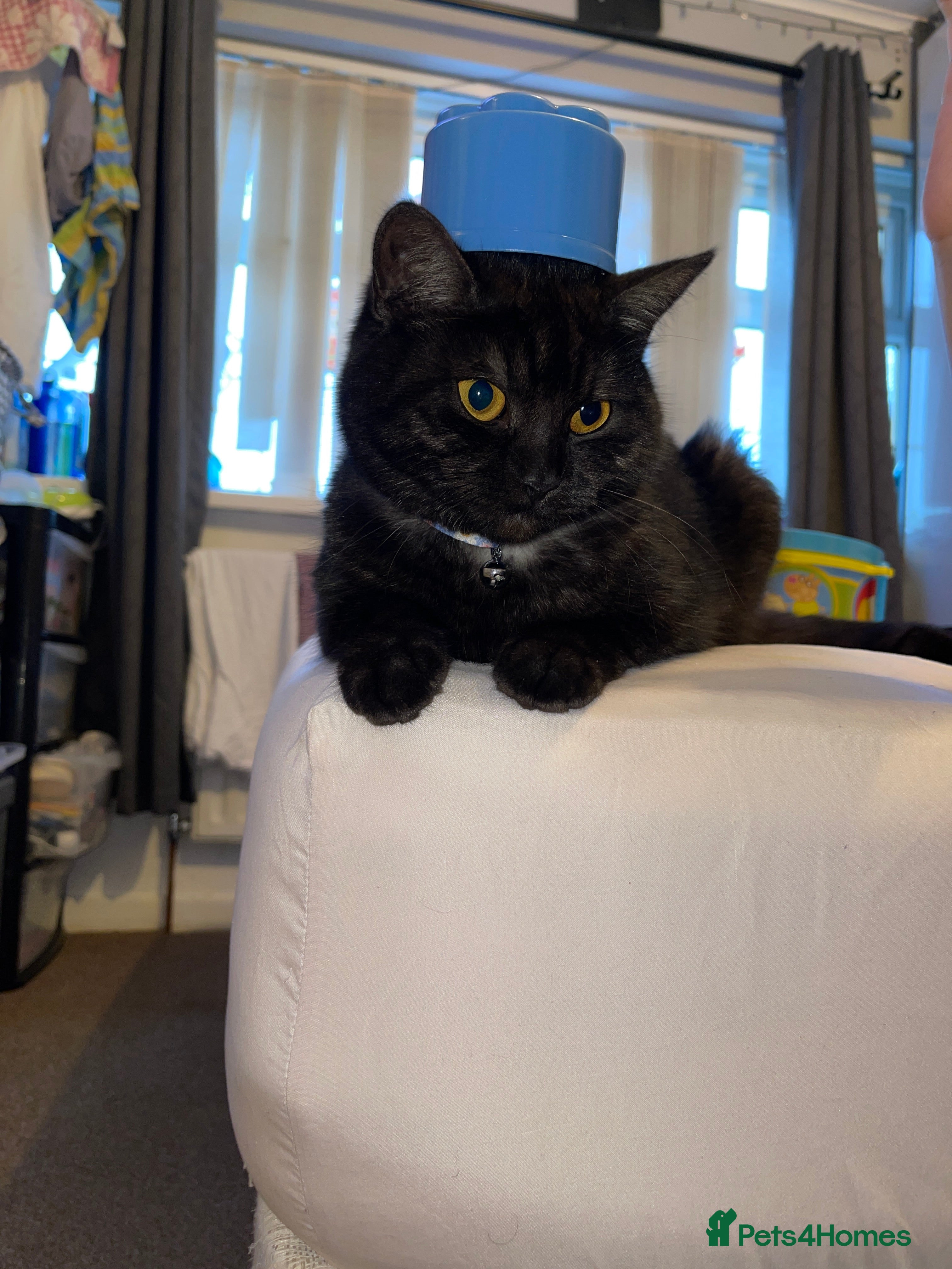 Luna