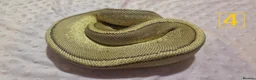 Python Snake reptiles for sale: rehoming/ breeding snakes - Advert 10