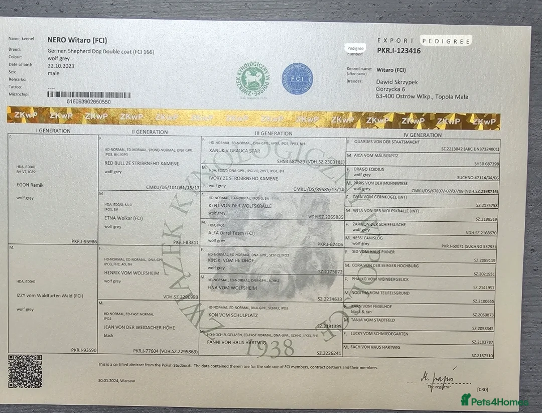 German Shepherd dogs for sale: Working line german shepherd pups  - Advert 14