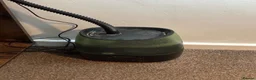 Gecko reptiles for sale: Gecko and enclosure  - Advert 5