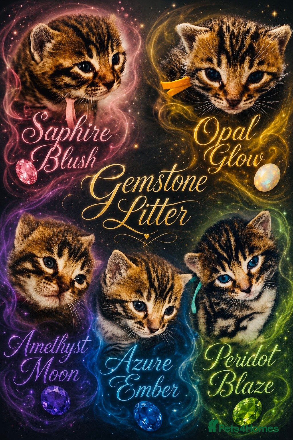 Bengal cats ✨ Beautiful Bengal Kittens-READY NOW!✨ - Advert 18
