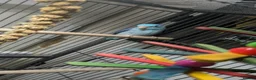 Parrots birds for sale: Blue Parrotlet + Sansibar UV + Large Cage  - Advert 2