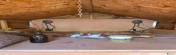 Tortoise reptiles for sale: Adult Sulcata tortoise for sale in Canterbury - Advert 7