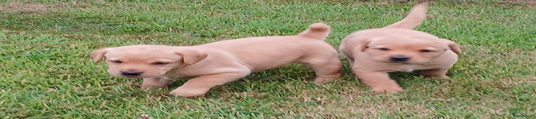 April