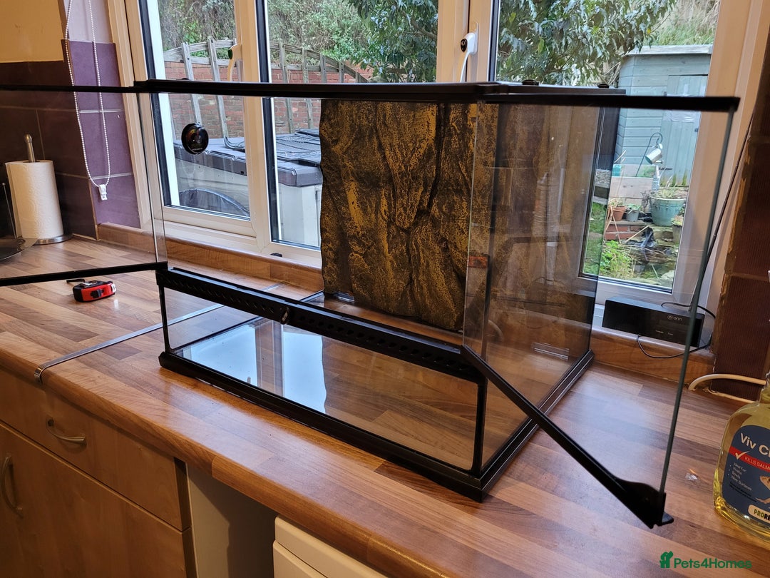 Chameleon reptiles for sale: 60 x 45 x 44 Exo Terra terrarium set up - Advert 7