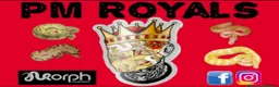 Python Snake reptiles for sale:  Various ball pythons  - Advert 1