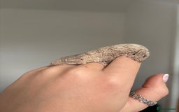Gecko reptiles for sale: Baby Leachianus gecko x 2 for sale  - Image 6