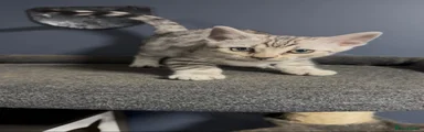 Bengal 1 silver 