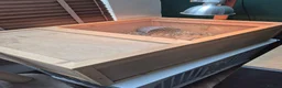 Hermann Tortoise reptiles for sale: 2 Male Hermann Tortoise in Workington - Advert 7