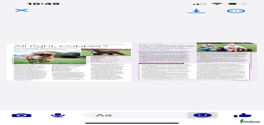 Gallery Image {{count}}