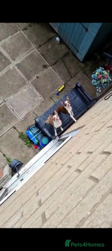 Gallery Image {{count}}